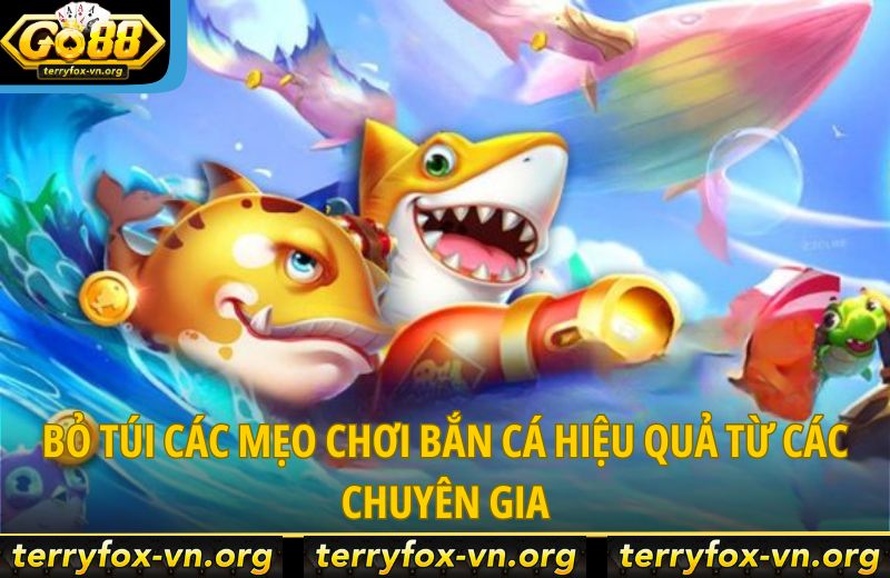 4 Lợi Thế Giúp Bắn Cá Go88 Trở Thành Sân Chơi Của Cao Thủ 7 bo-tui-cac-meo-choi-ban-ca-hieu-qua-tu-cac-chuyen-gia